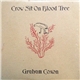 Graham Coxon - Crow Sit On Blood Tree